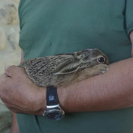 Фермерский дом Podere Tre Mulini