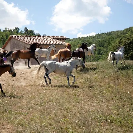 Podere Tre Mulini Фермерский дом Казоле-д'Эльса
