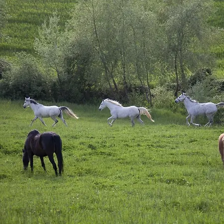 Podere Tre Mulini Фермерский дом *
