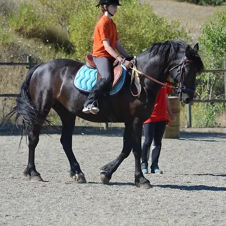 Фермерский дом Podere Tre Mulini