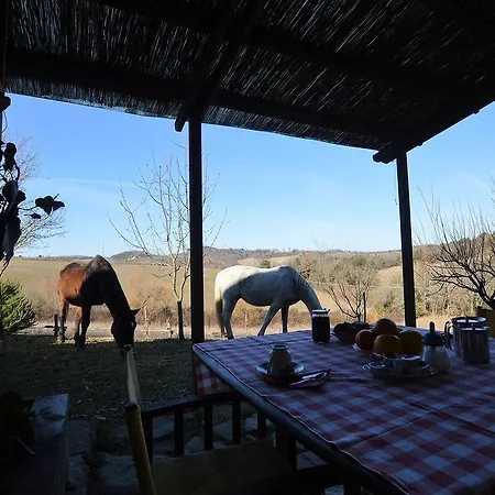 Podere Tre Mulini * Казоле-д'Эльса