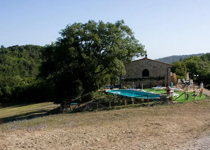 农家乐 波迪尔特里姆里尼酒店 *