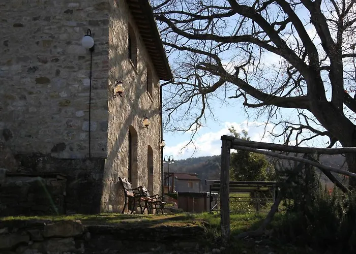 波迪尔特里姆里尼酒店 *