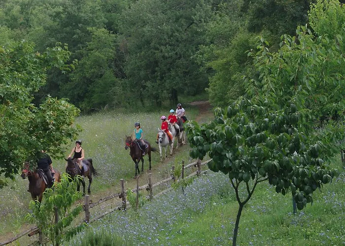 农家乐 波迪尔特里姆里尼酒店 *