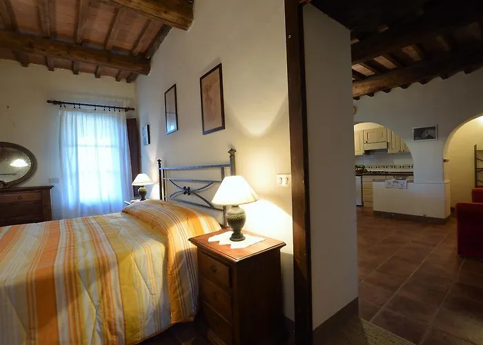 波迪尔特里姆里尼酒店 *