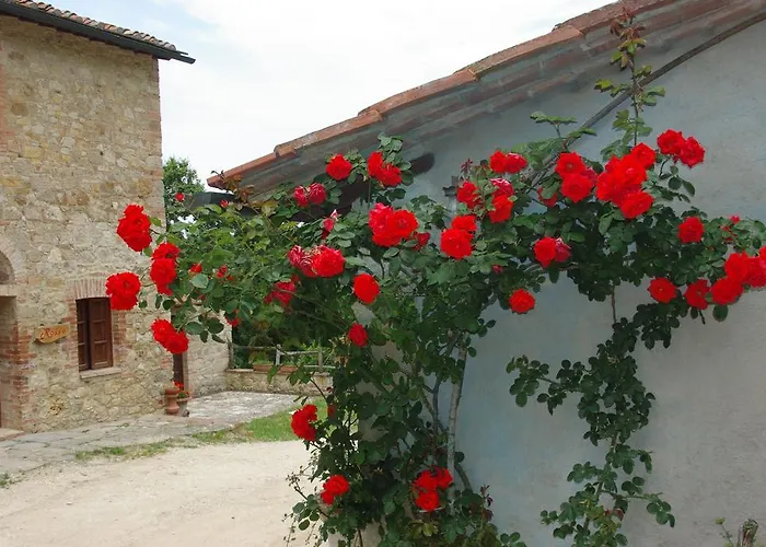 波迪尔特里姆里尼酒店