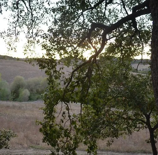 波迪尔特里姆里尼酒店 *