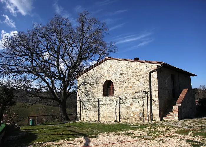 农家乐 波迪尔特里姆里尼酒店 *
