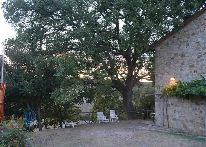 波迪尔特里姆里尼酒店