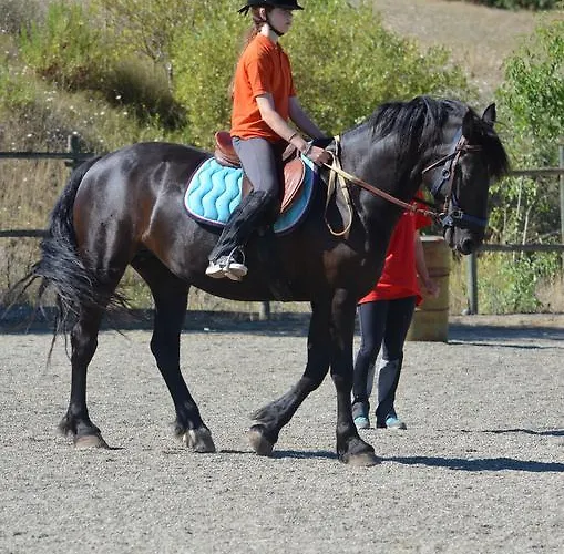 农家乐 波迪尔特里姆里尼酒店