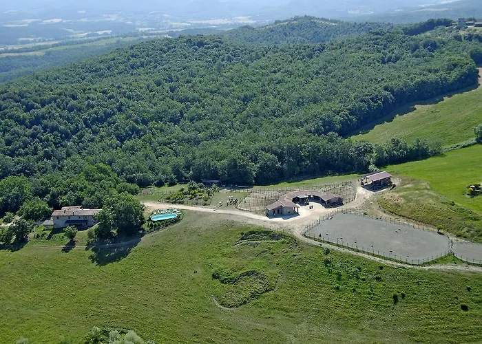 波迪尔特里姆里尼酒店