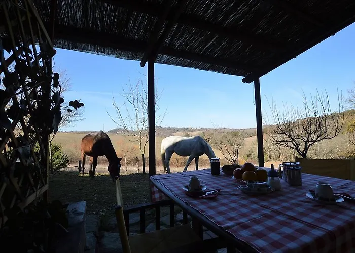 波迪尔特里姆里尼酒店 * 卡索莱代尔萨