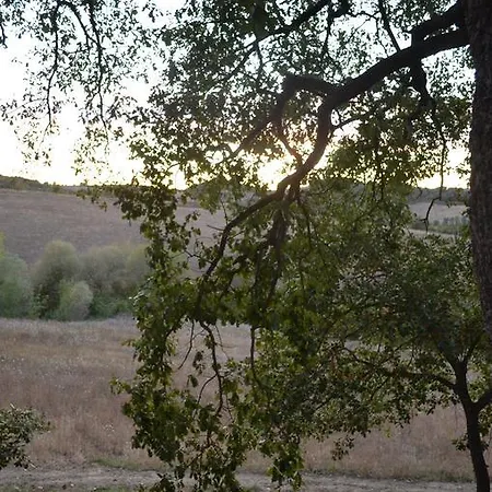 Podere Tre Mulini *